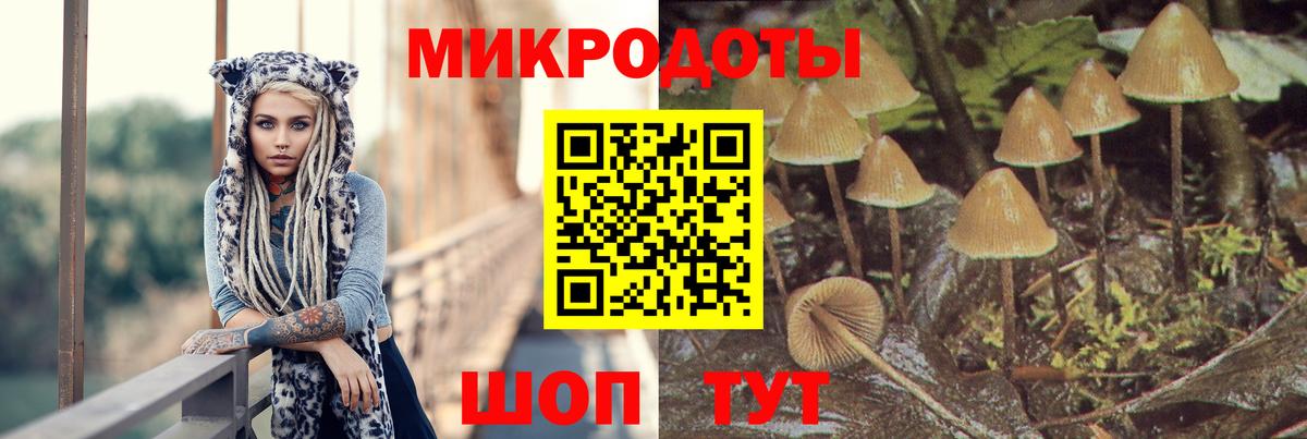 Галлюциногенные грибы GOLDEN TEACHER  Вход с VPN  Гудермес 